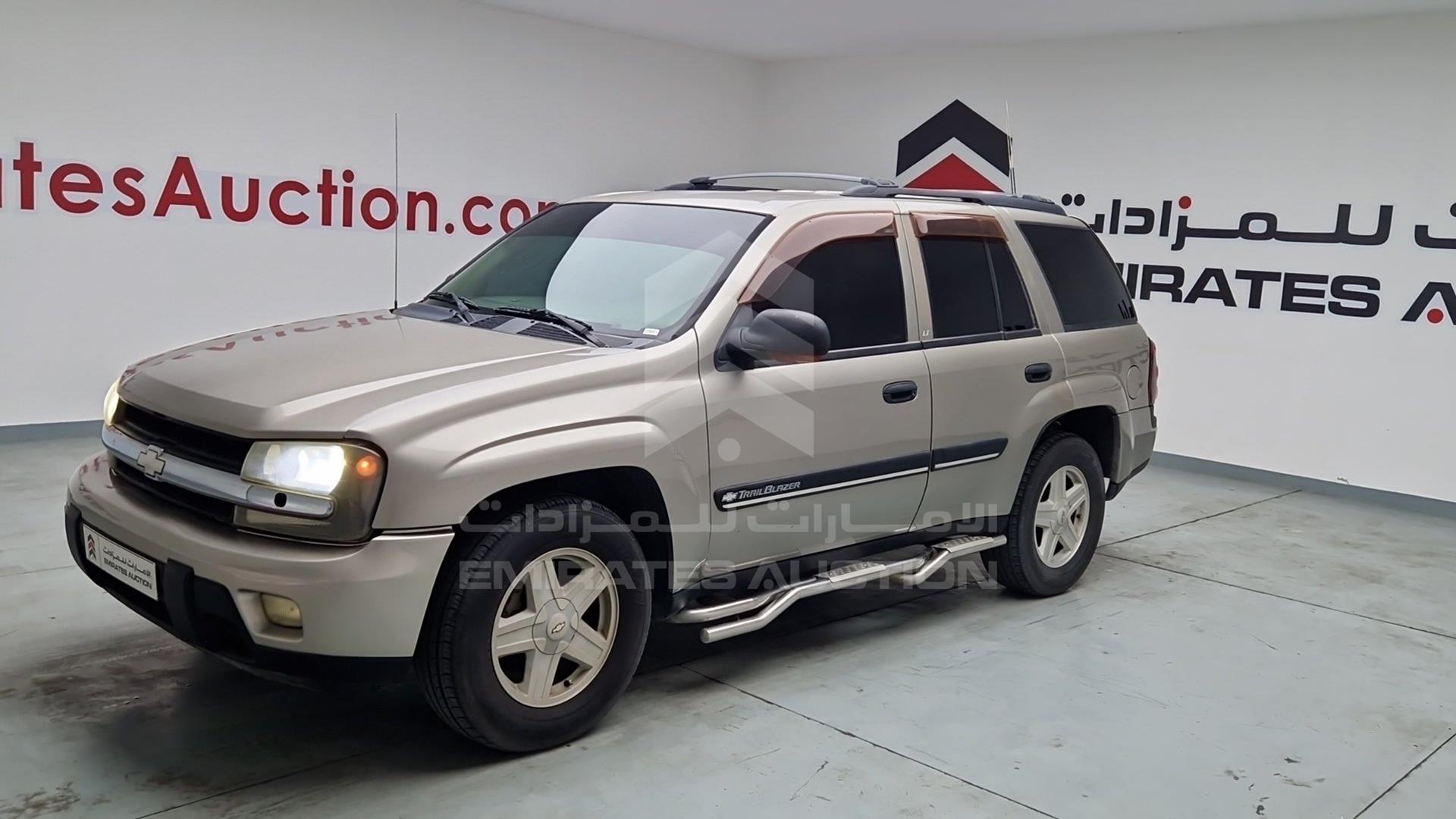 2002 CHEVROLET TRAILBLAZER VIN: 1GNDT13S522359953