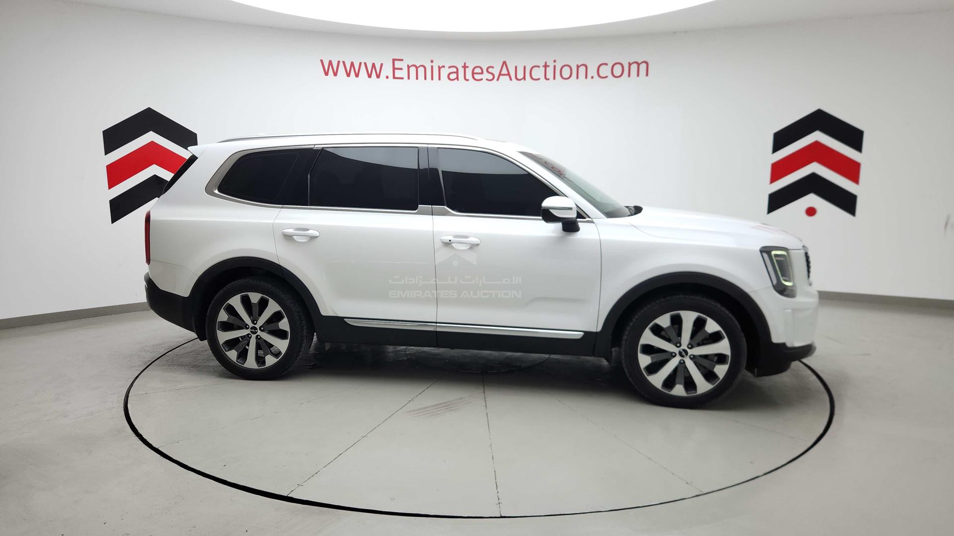 2022 KIA TELLURIDE VIN: 5XXP381C7NG232128
