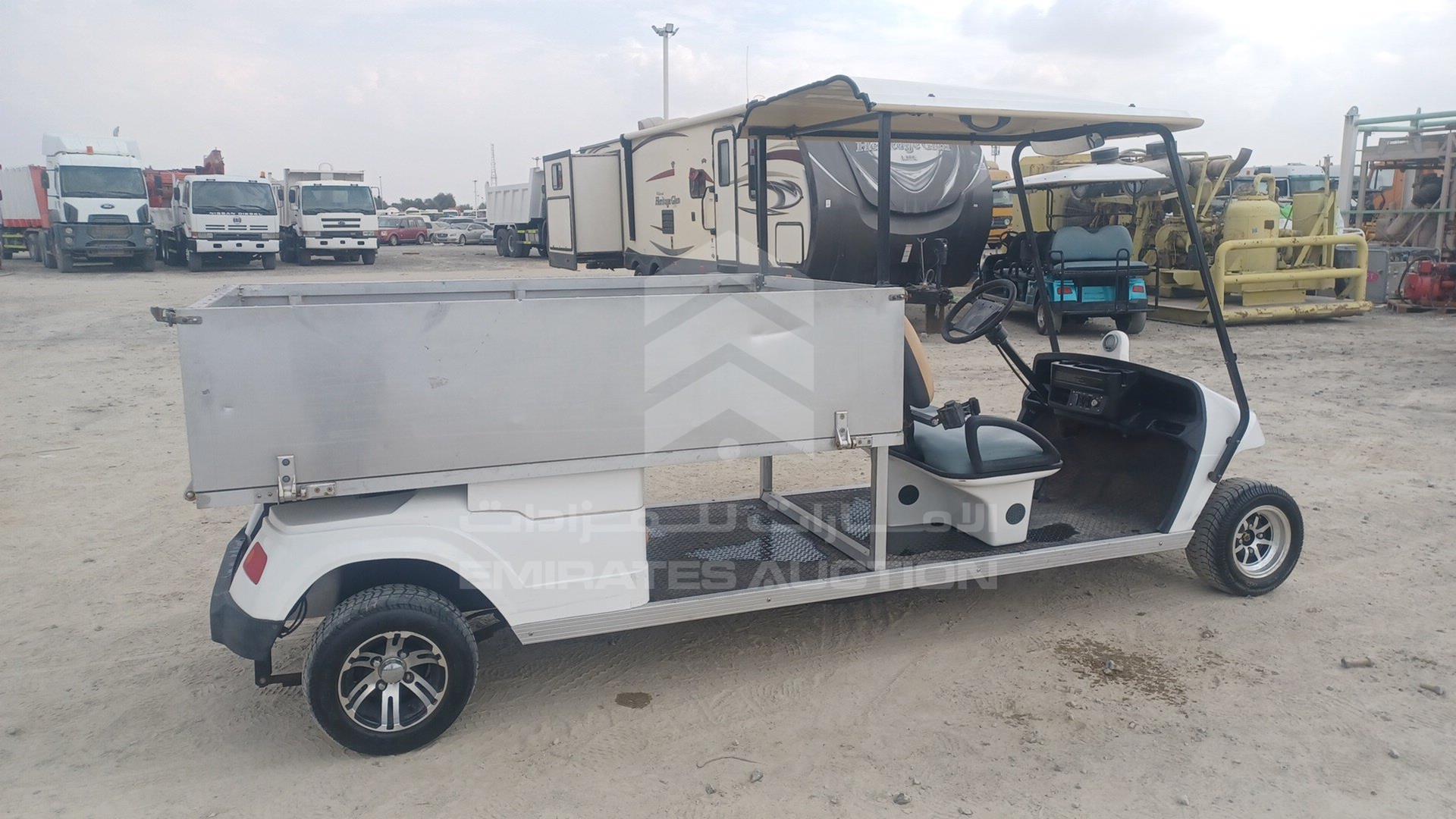 0 GOLF CART ELECTRIC VIN: P017C3802X501732