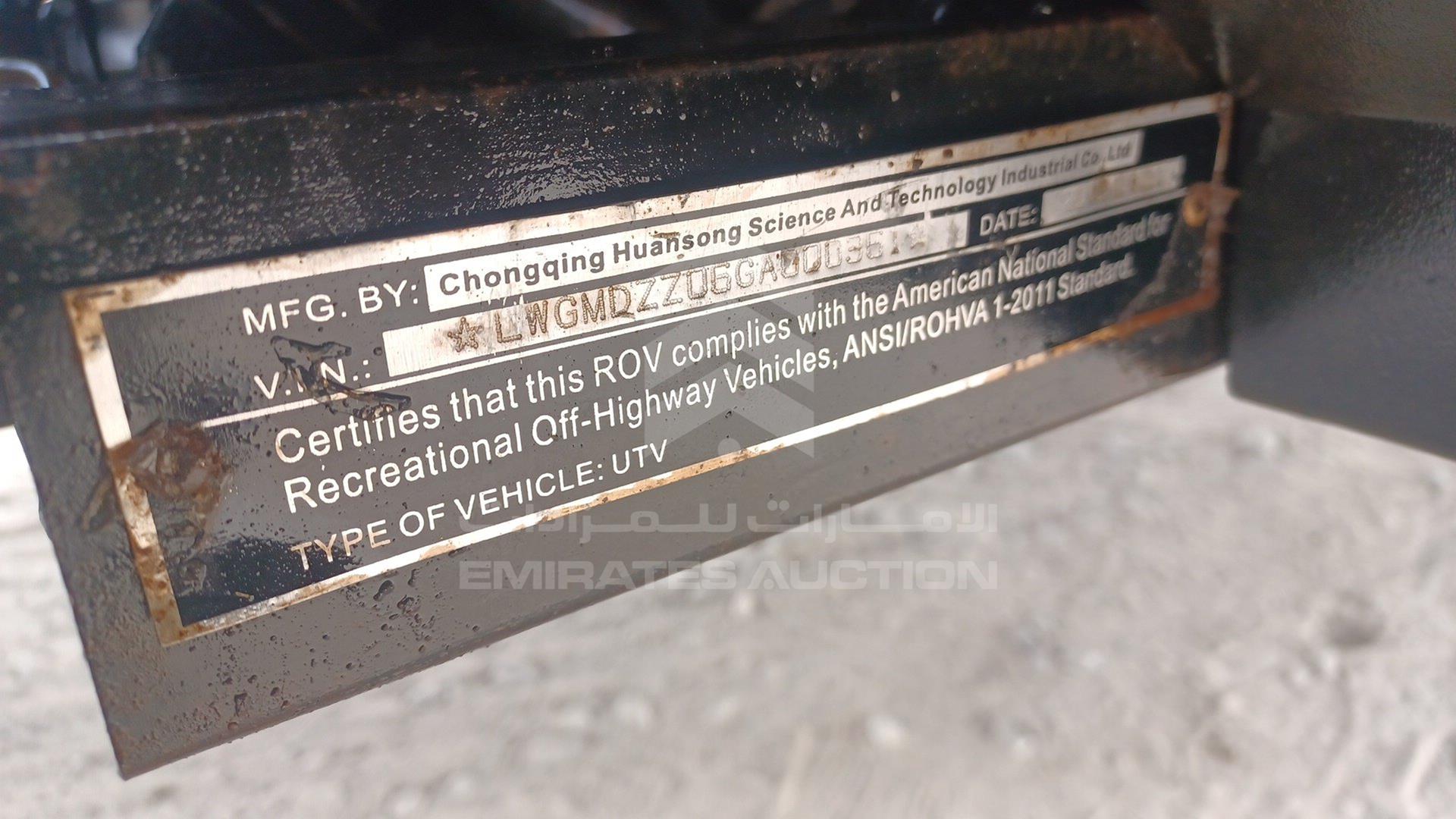 0 BUGGY --- VIN: LWGMDZZ06GAG00361