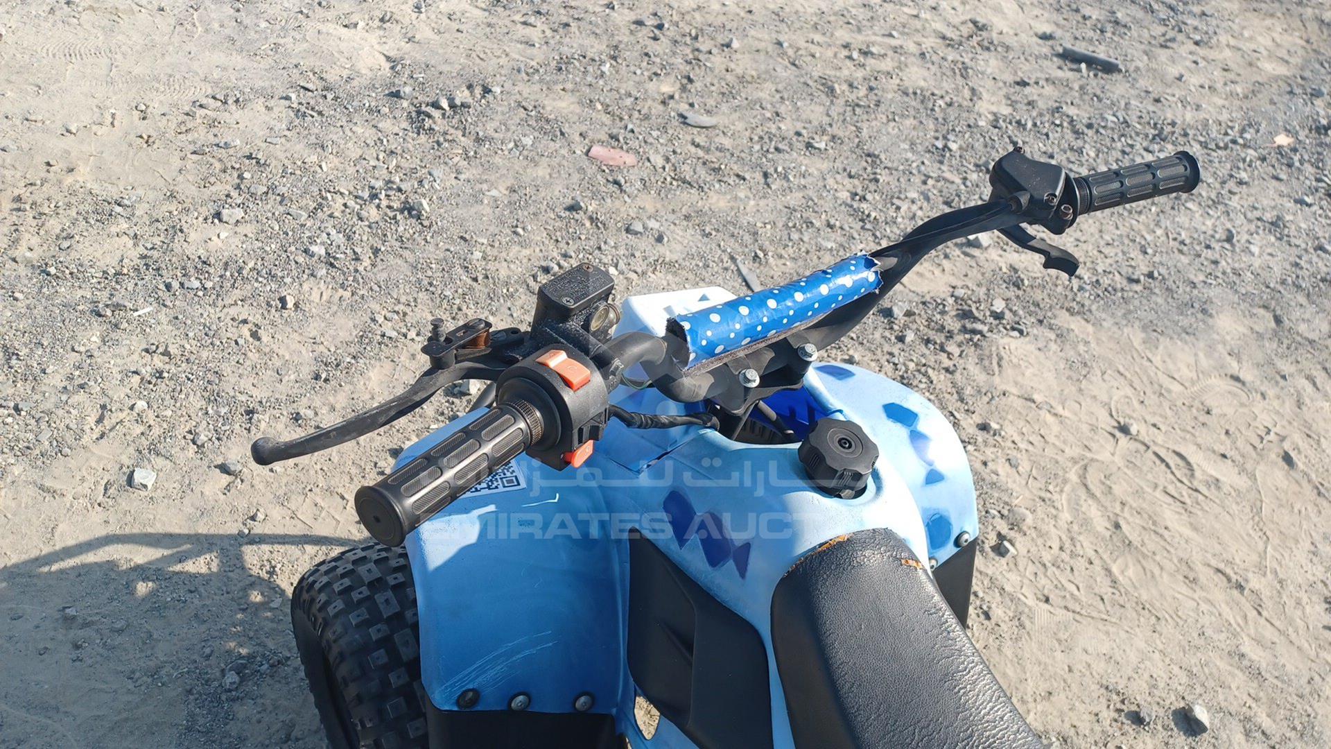 0 BUGGY --- VIN: LSA702G2022030032