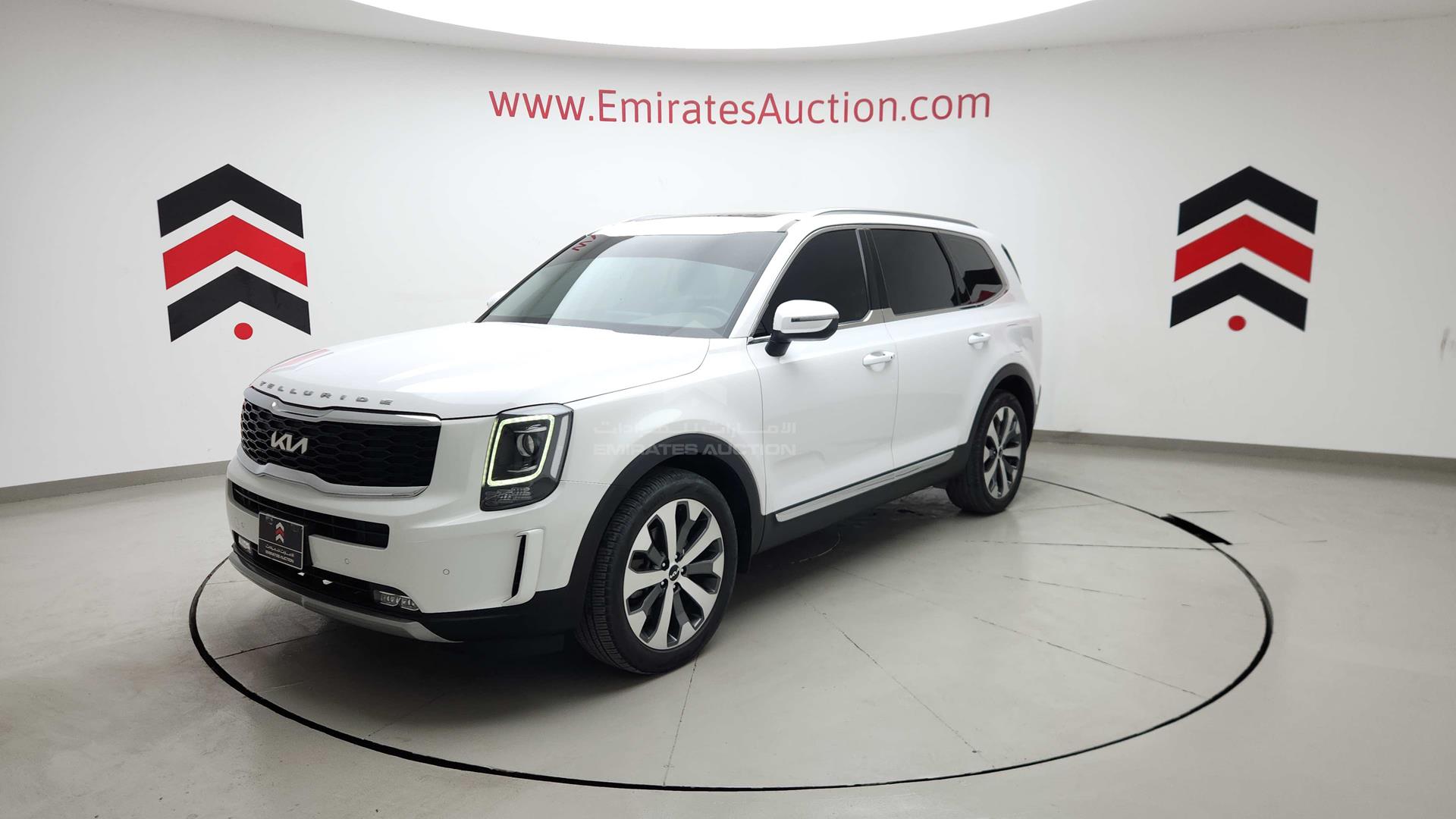 2022 KIA TELLURIDE VIN: 5XXP381C7NG232128