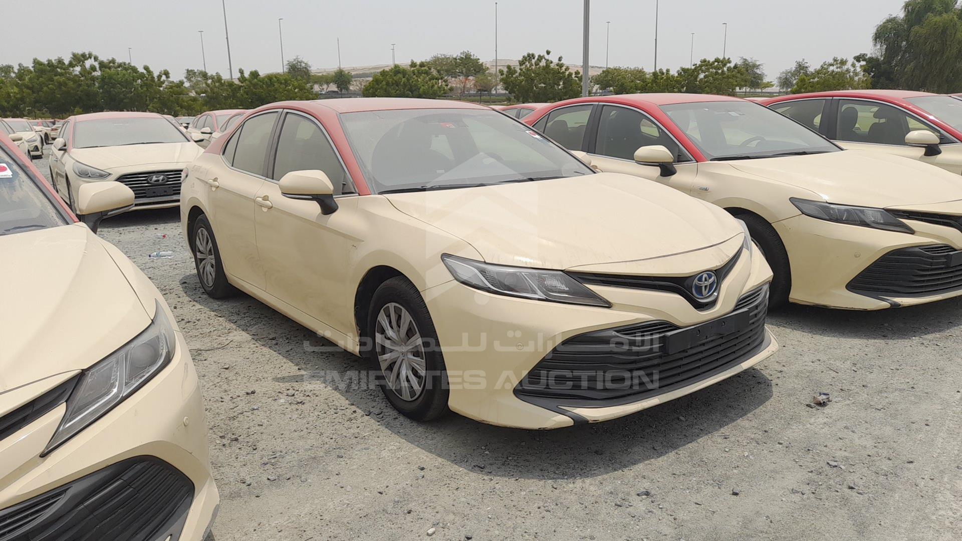 2018 TOYOTA CAMRY VIN: JTNB29HK6J3012310