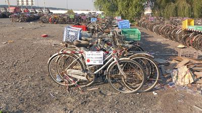  100 Bicycles