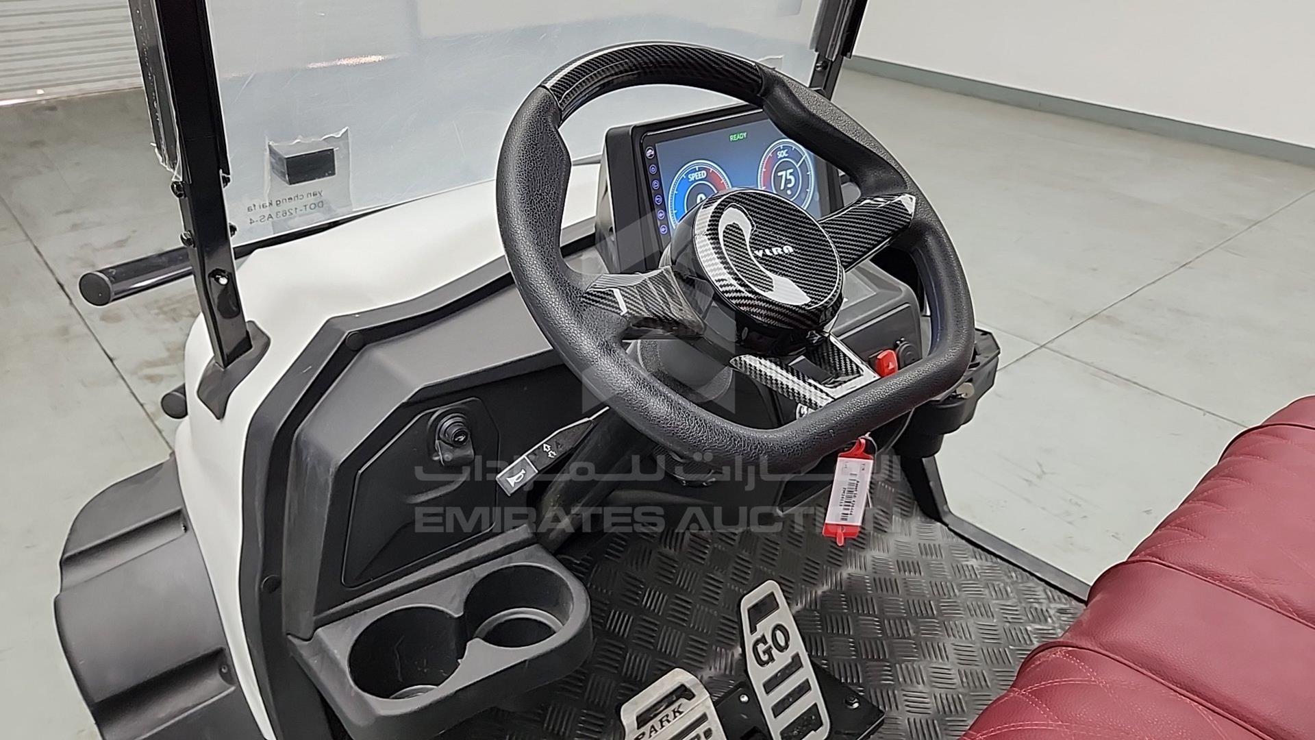 2025 GOLF CART ELECTRIC VIN: ZM24113