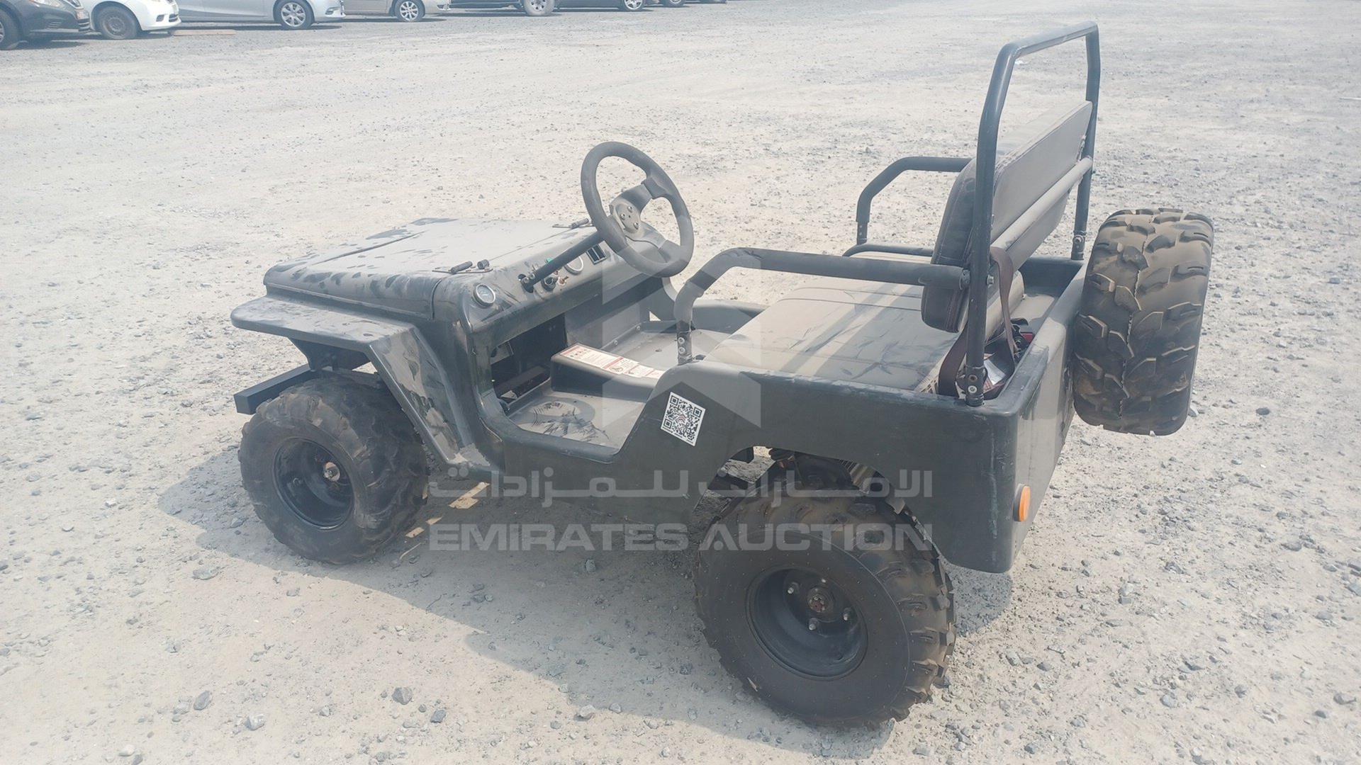 0 BUGGY --- VIN: LQBAJFGH6GI005305