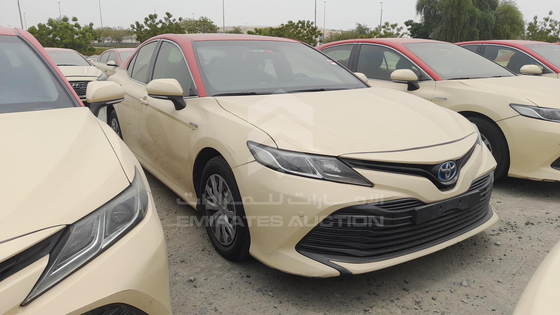 2019 TOYOTA CAMRY VIN: JTNB29HK2K3014492