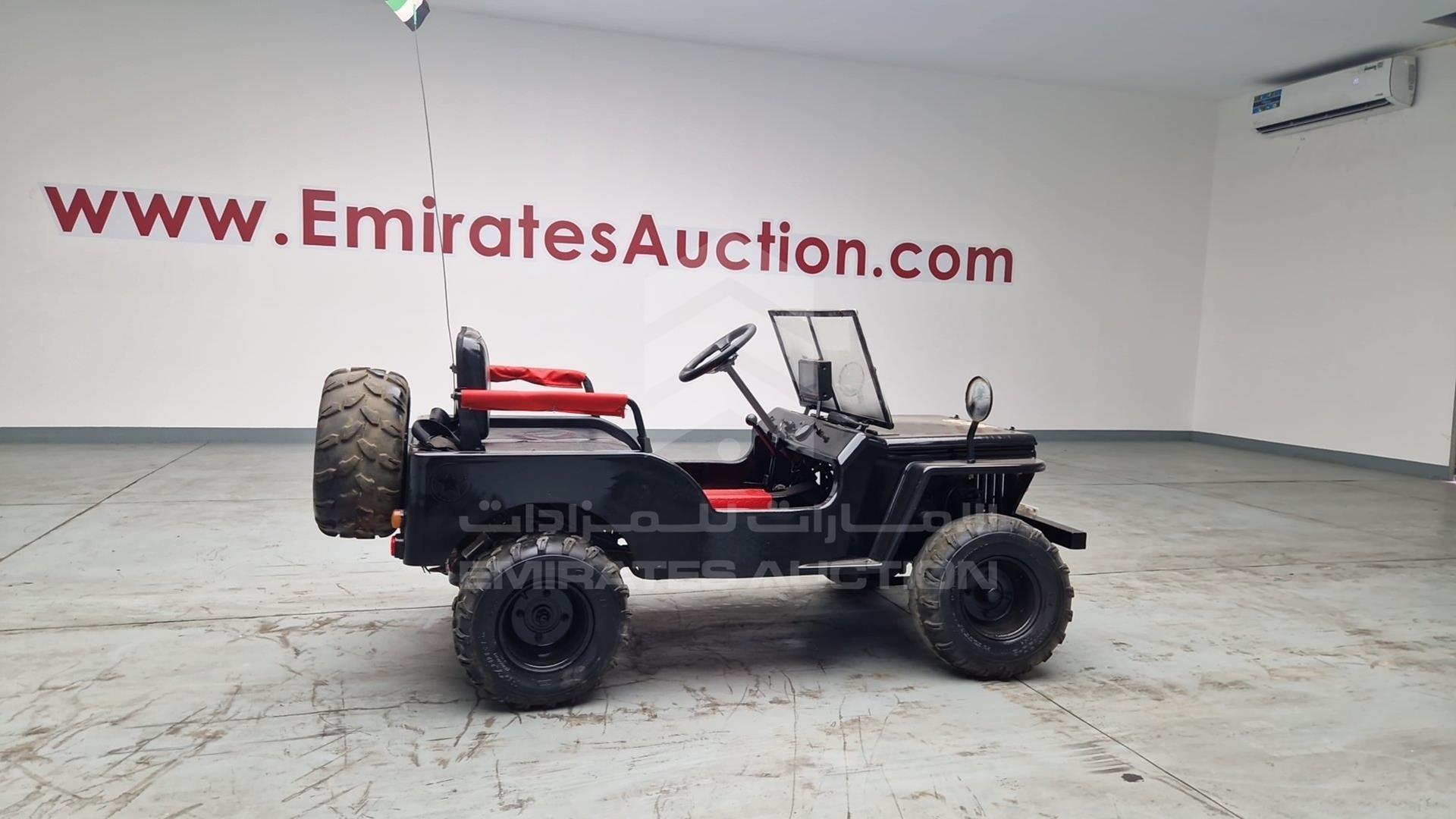2018 BUGGY --- VIN: RZW9AZKU9N10