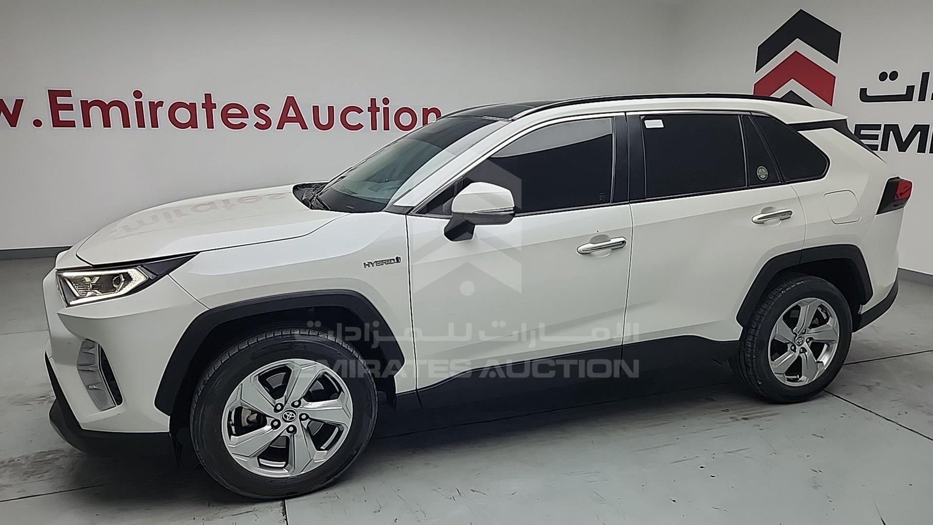2019 TOYOTA RAV-4 VIN: JTMDW3FV6KD516671