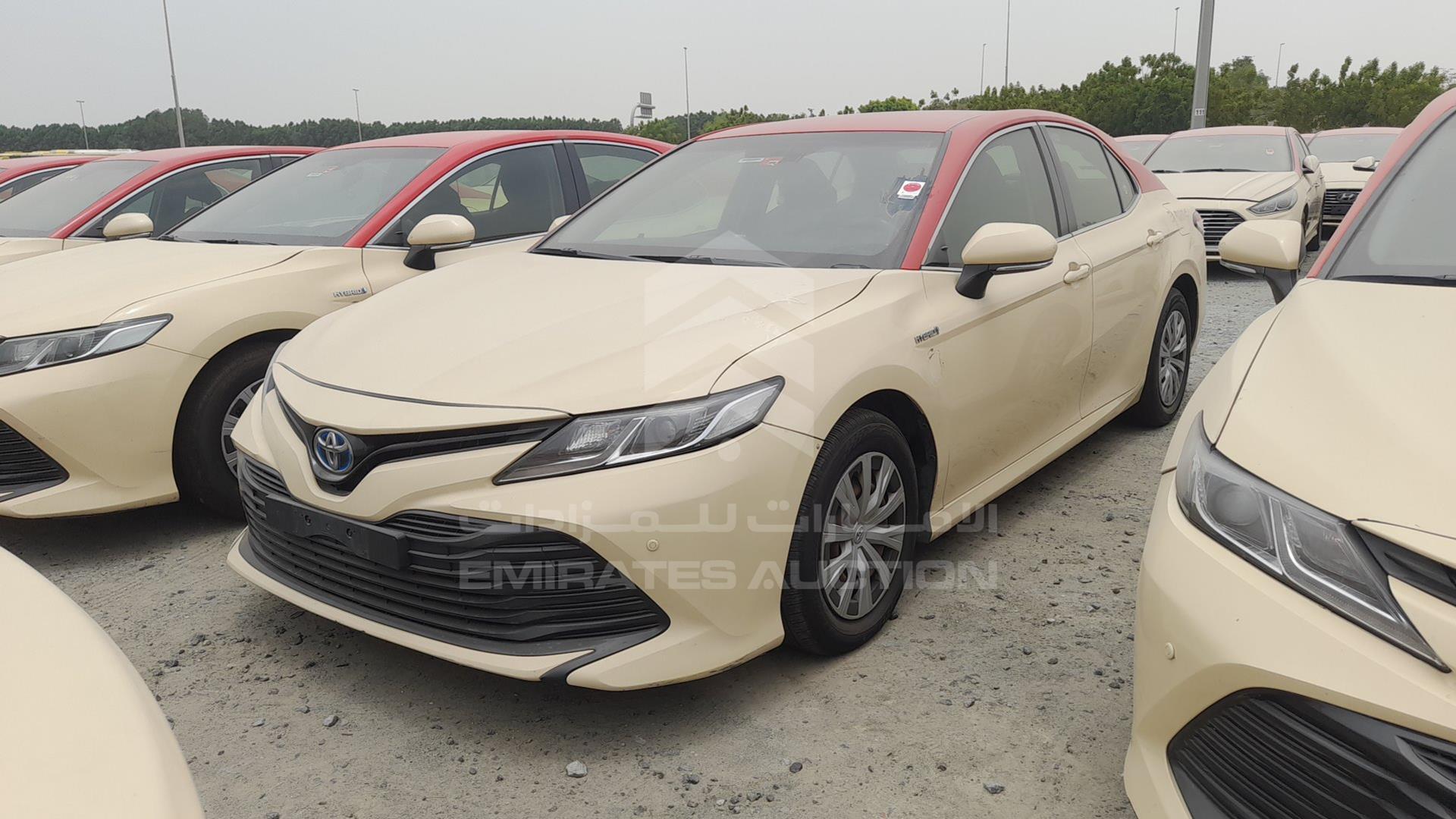 2019 TOYOTA CAMRY VIN: JTNB29HK2K3014492