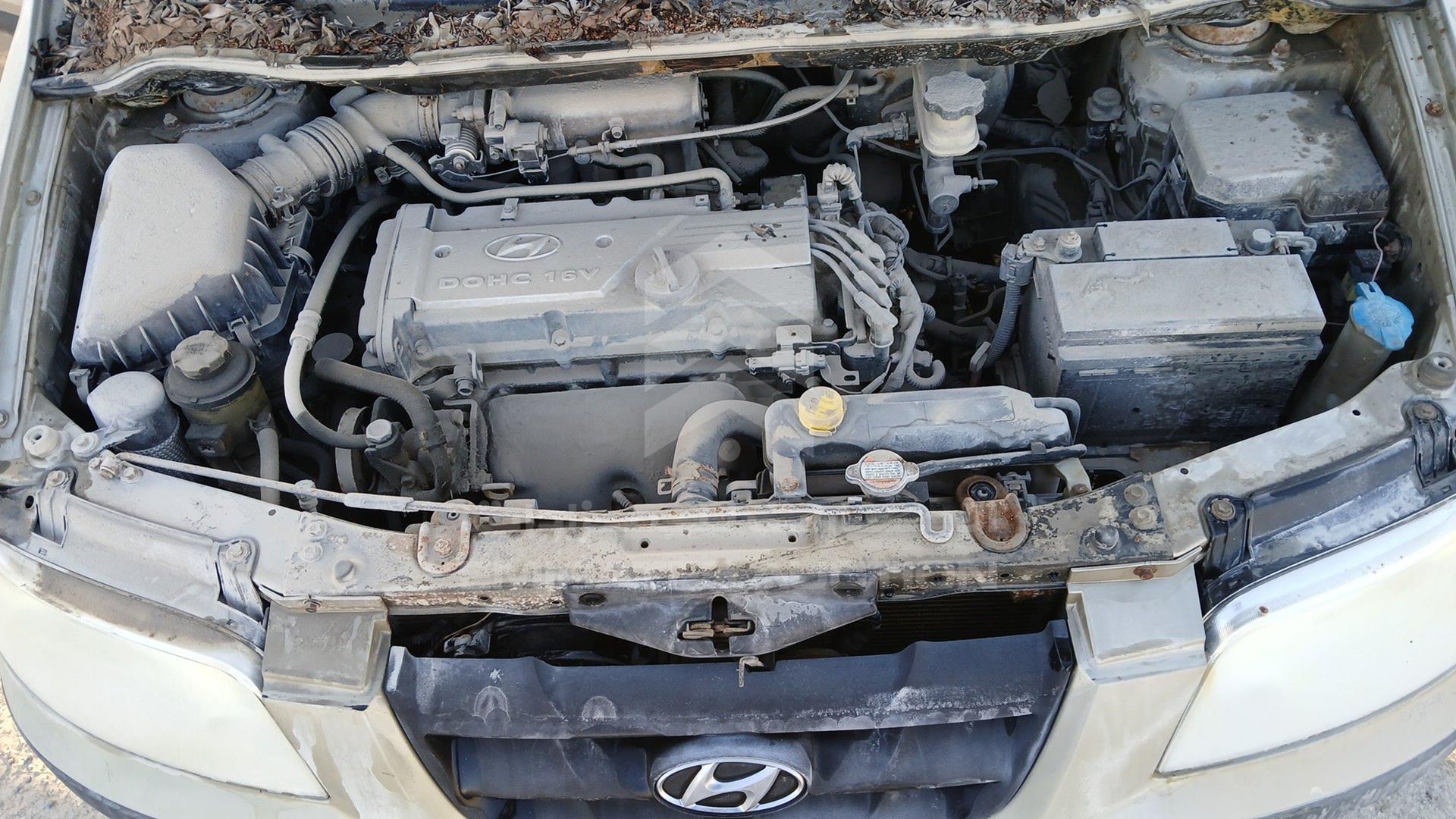 2005 HYUNDAI MATRIX VIN: KMHPM81C55U197382