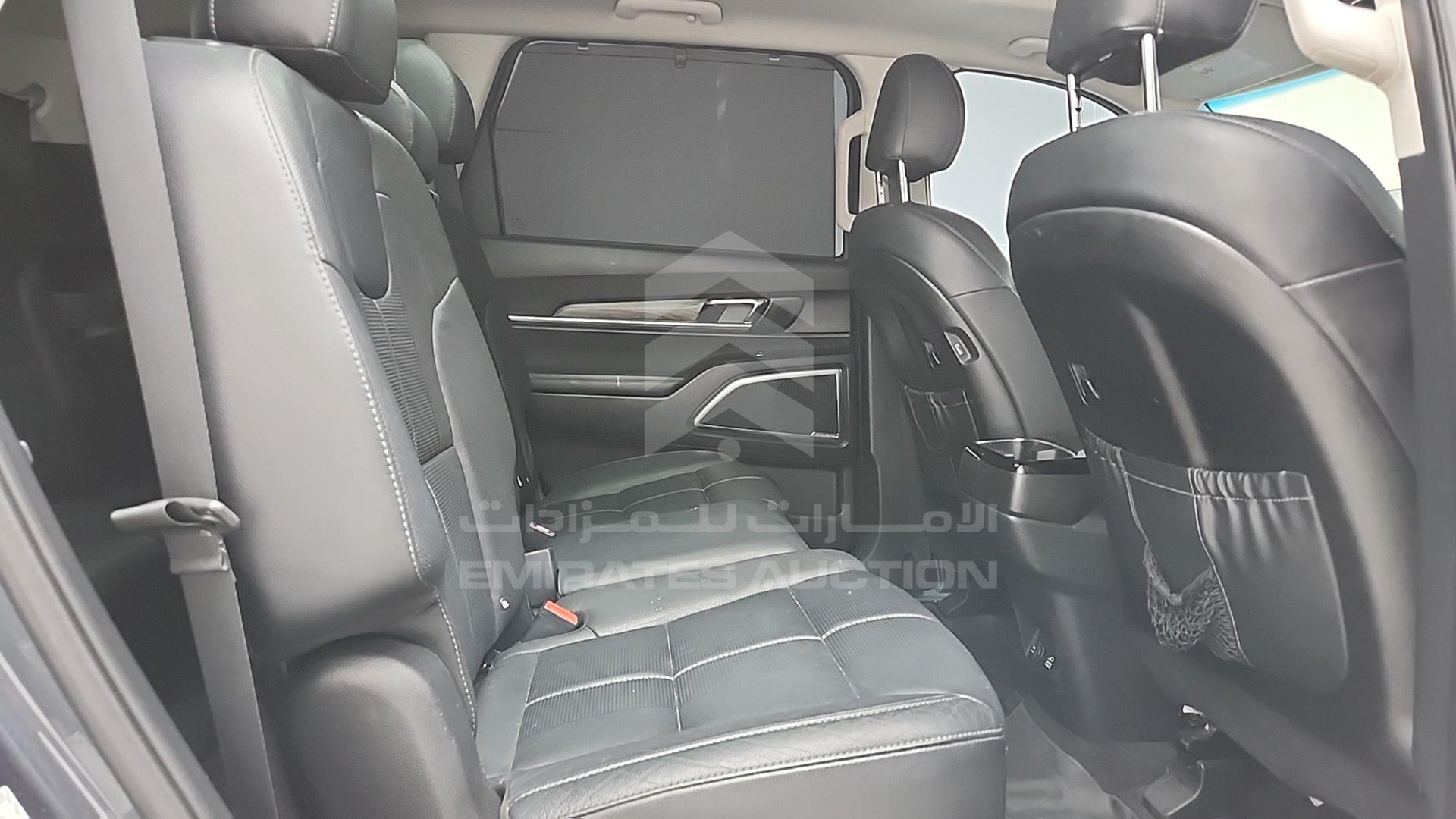 2020 KIA TELLURIDE VIN: 5XYP5DHC5LG086703