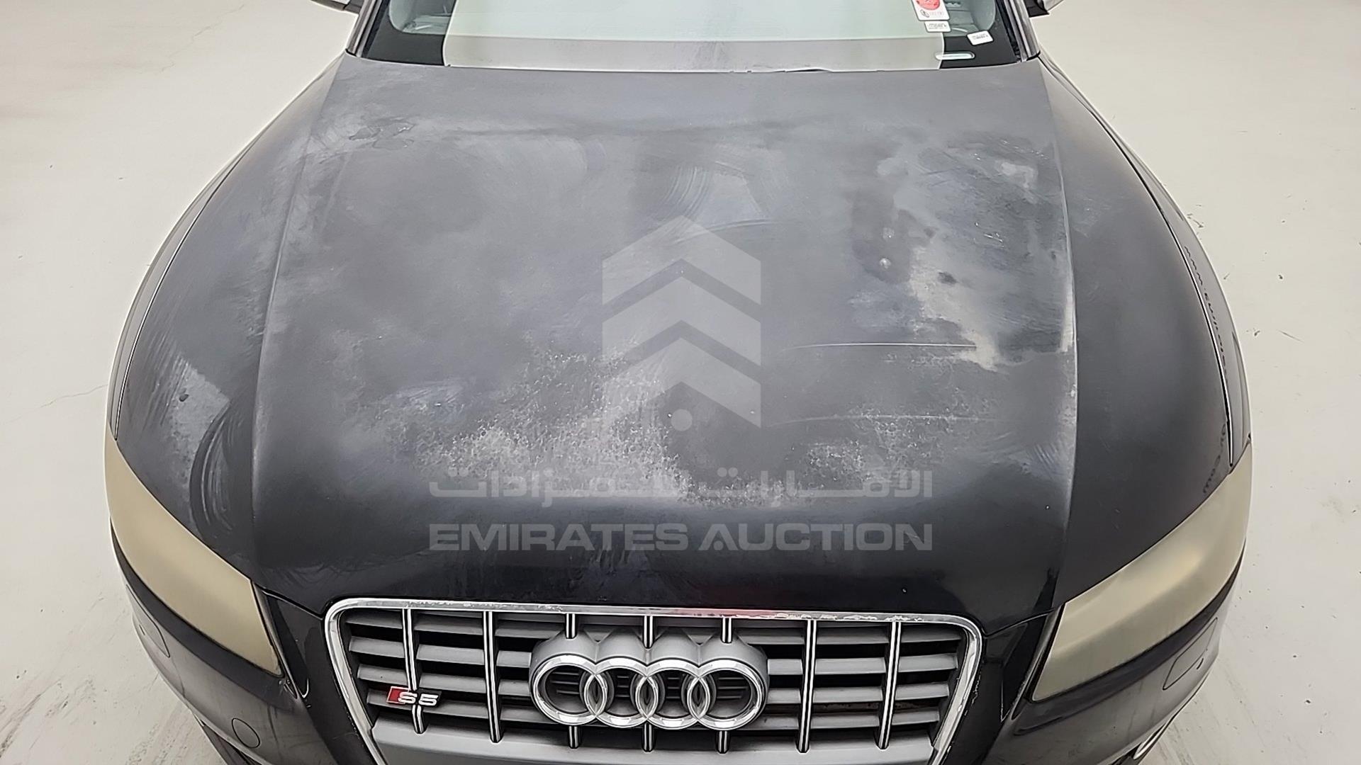 2010 AUDI S5 VIN: WAUCVB8T1AA021263