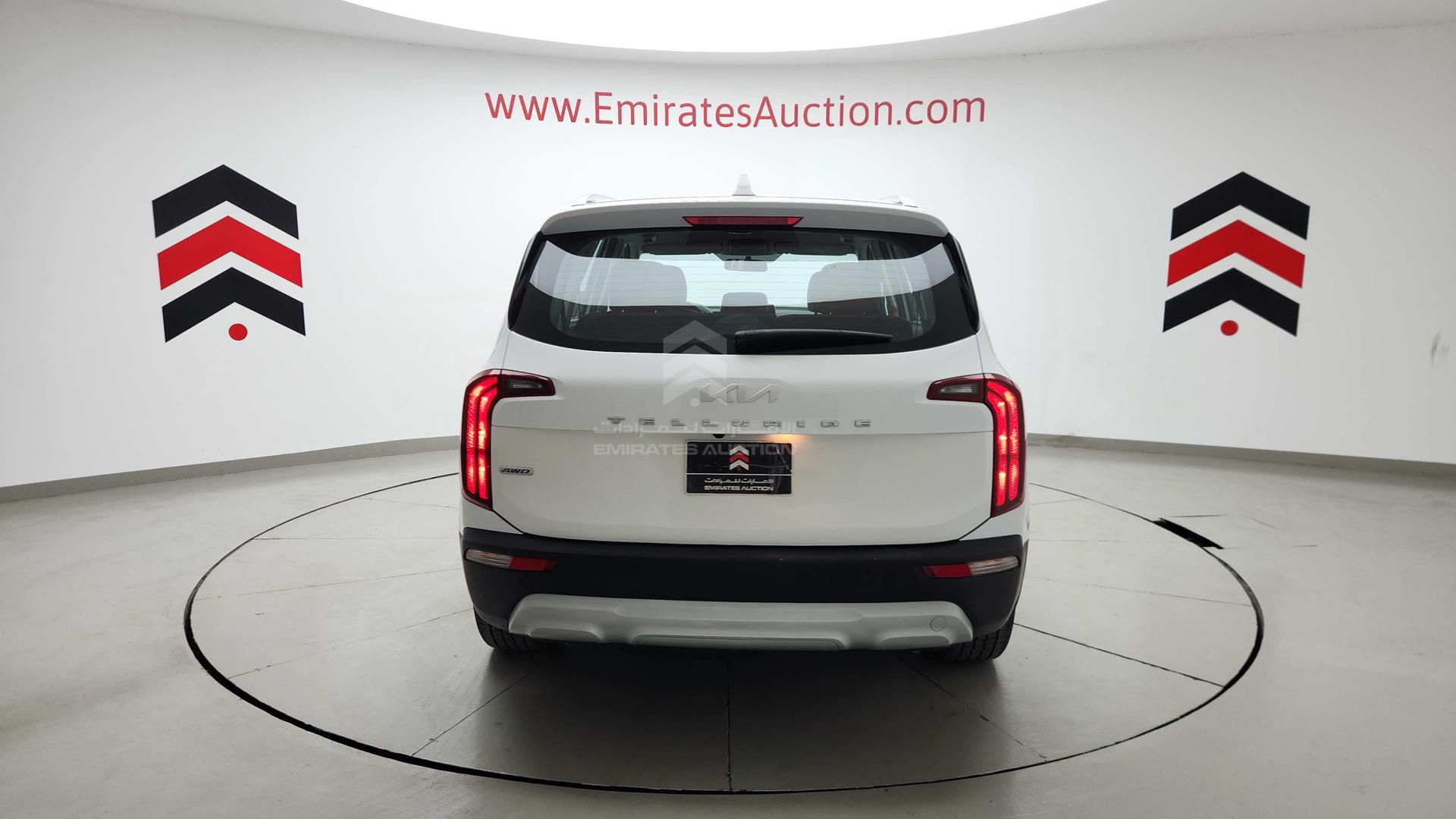 2022 KIA TELLURIDE VIN: 5XXP281C8NG281938