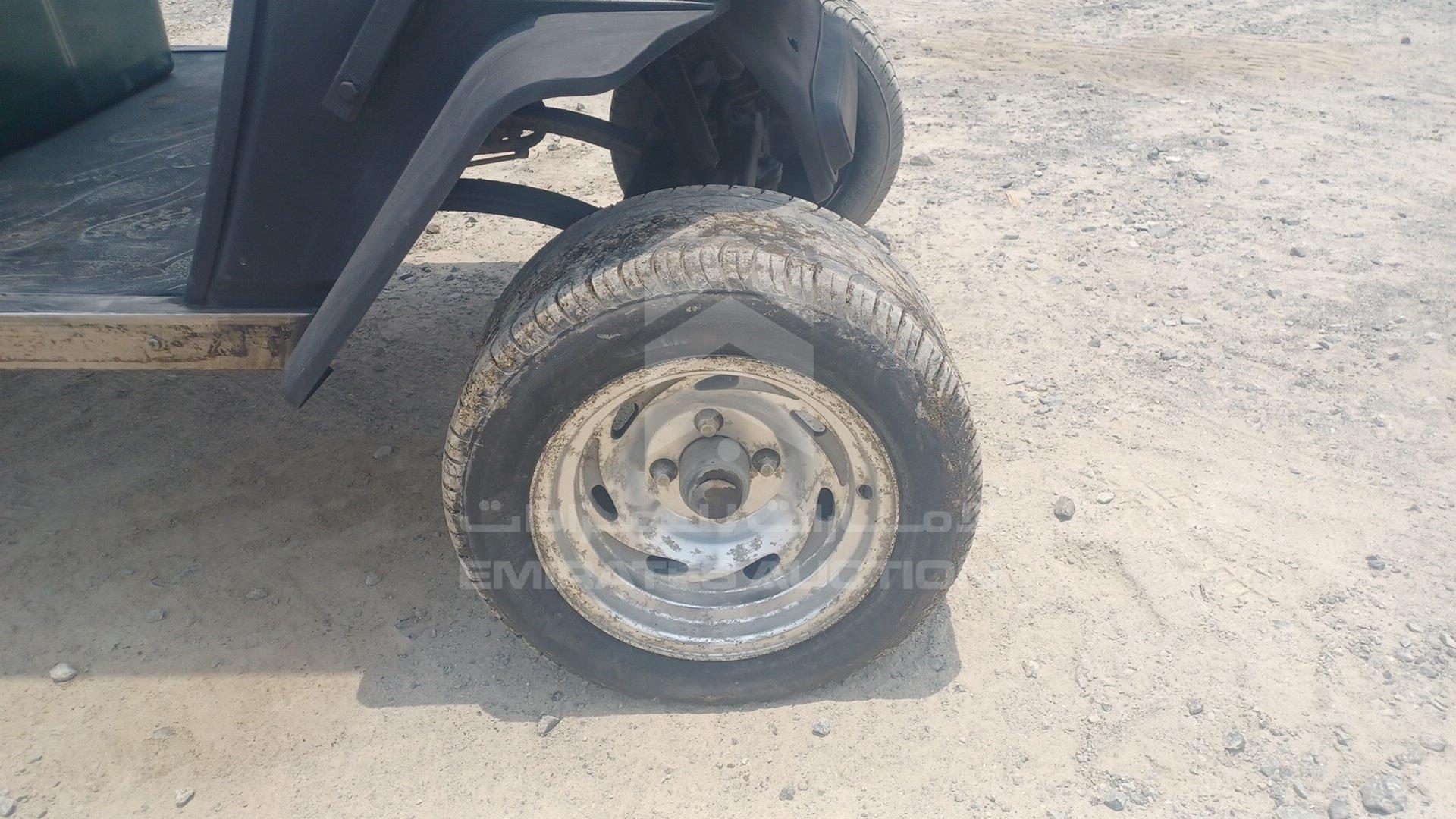 0 GOLF CART ELECTRIC VIN: L4F2550A590070038