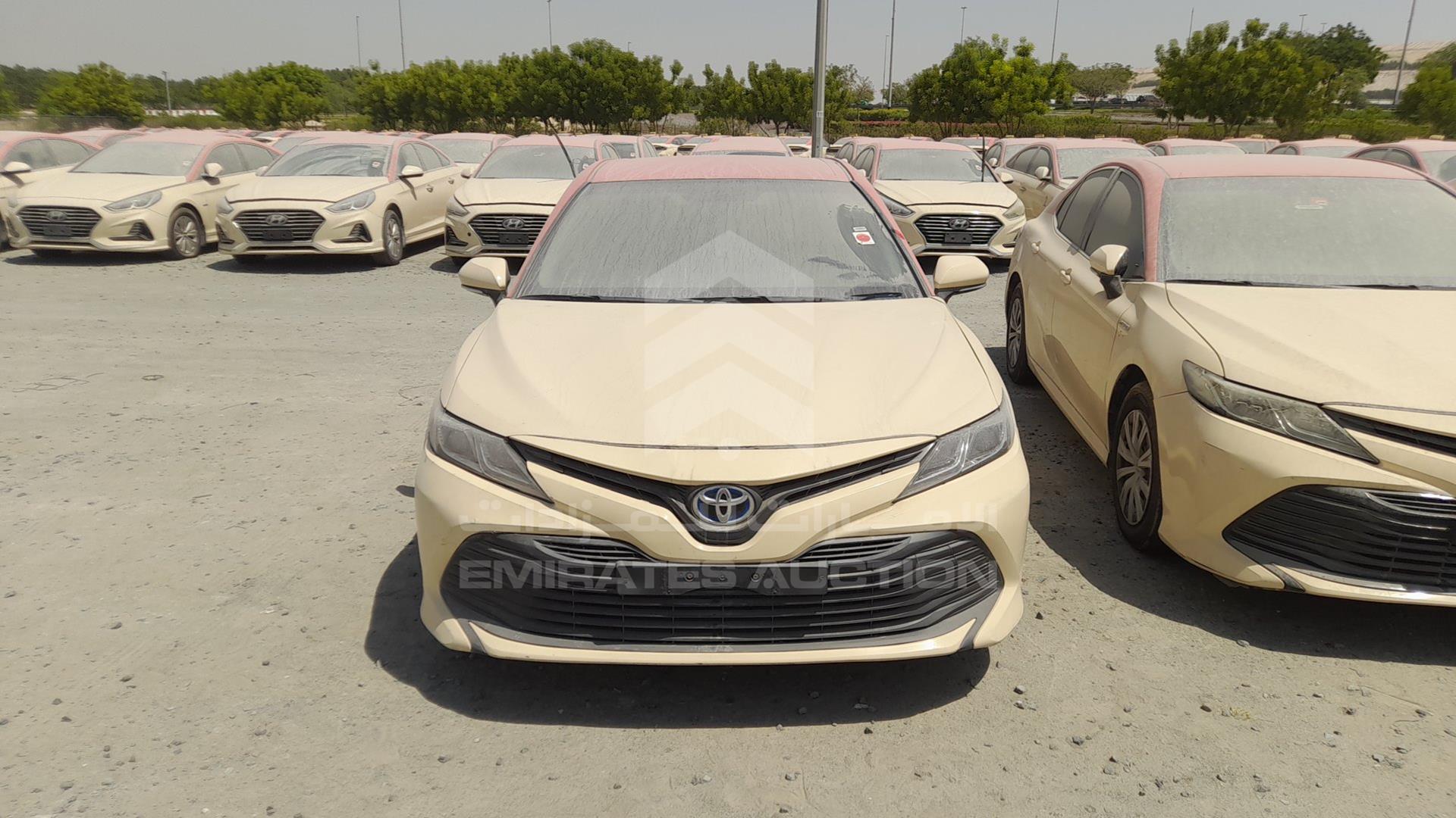 2019 TOYOTA CAMRY VIN: JTNB29HK5K3042173