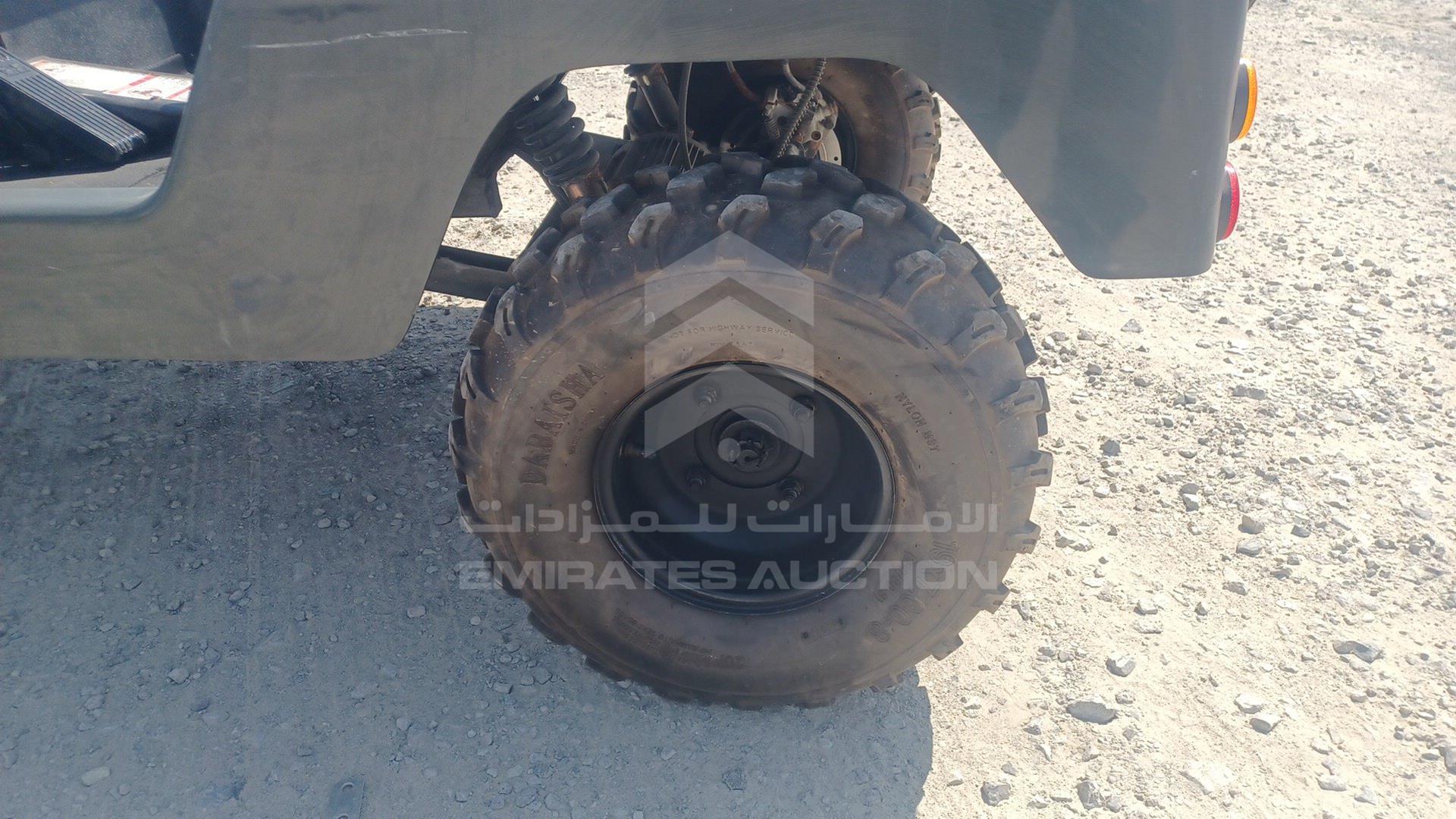 0 BUGGY --- VIN: LQBAJFGH3GT005309