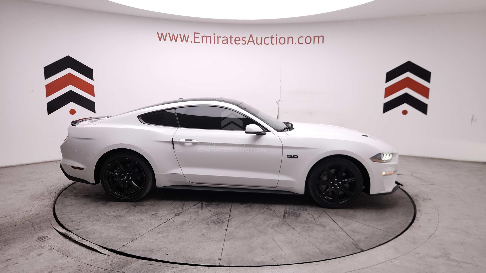 2019 FORD MUSTANG VIN: 1FA6P8CF6K5157614