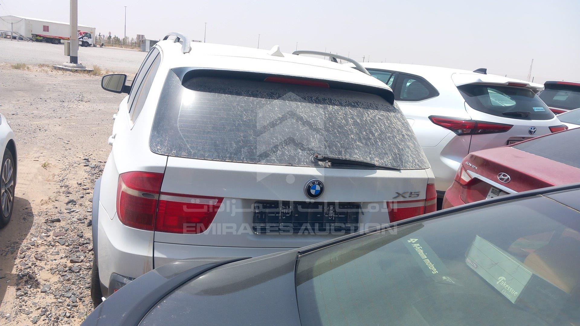 2009 BMW X5 VIN: WBAFE81019L096271