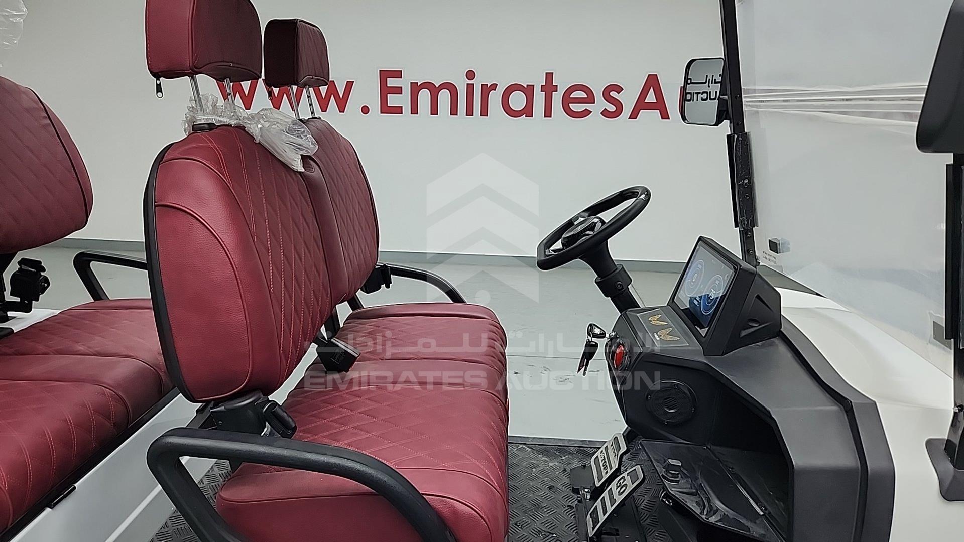 2025 GOLF CART ELECTRIC VIN: ZM24113