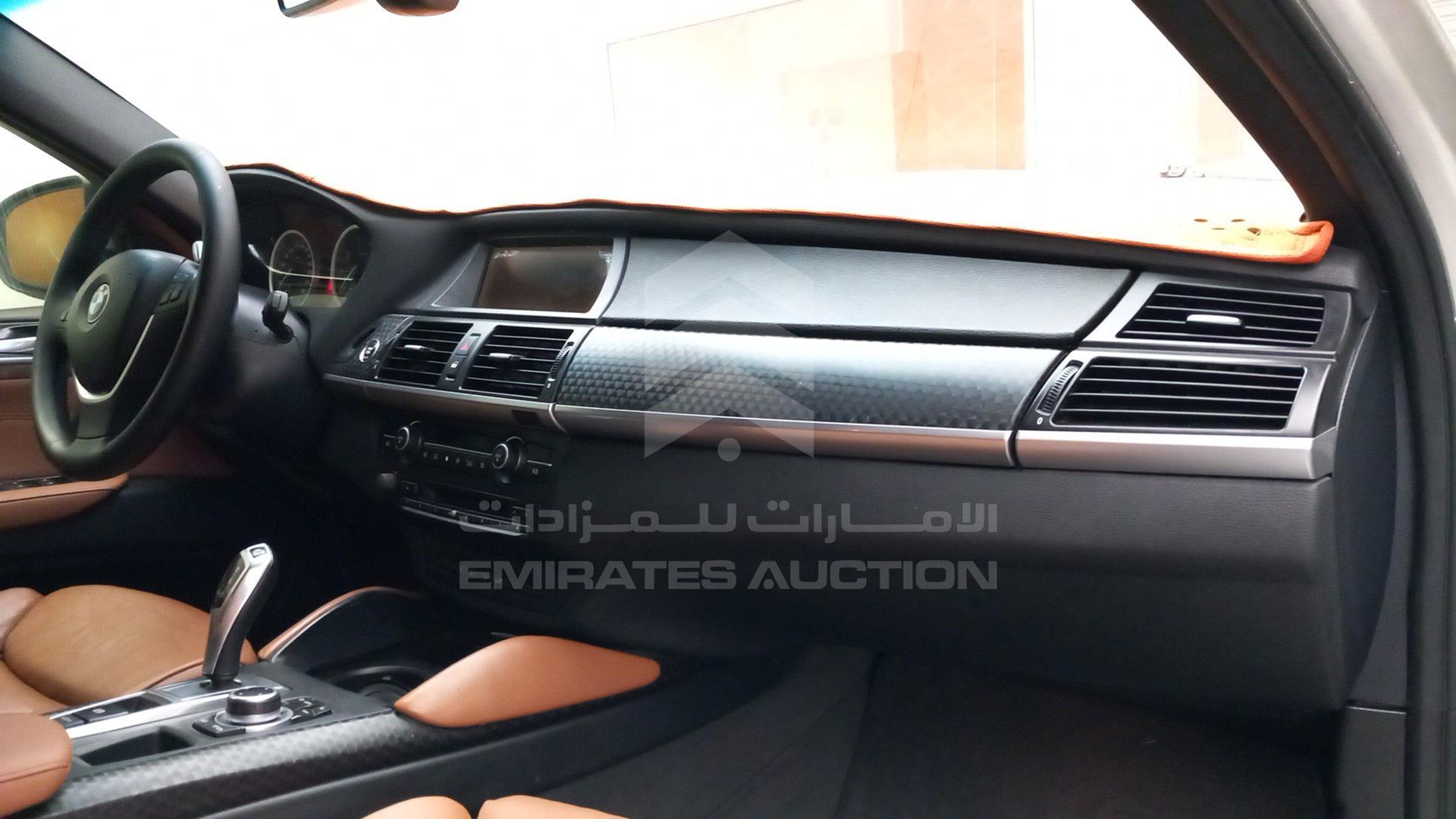 2010 BMW X6 VIN: WBAFG8101AL285307