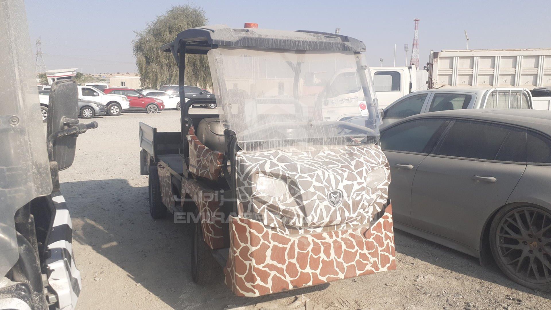 2016 GOLF CART ELECTRIC VIN: 915G00010
