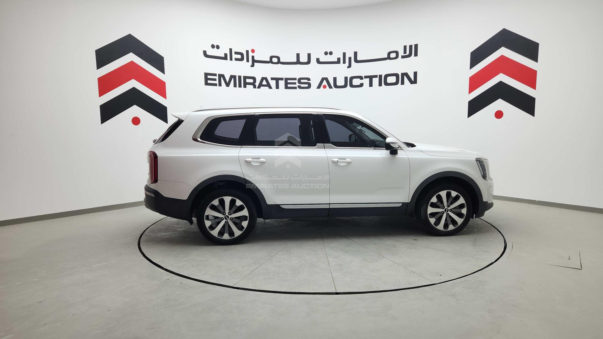 2020 KIA TELLURIDE VIN: 5XXP281CXLG081463