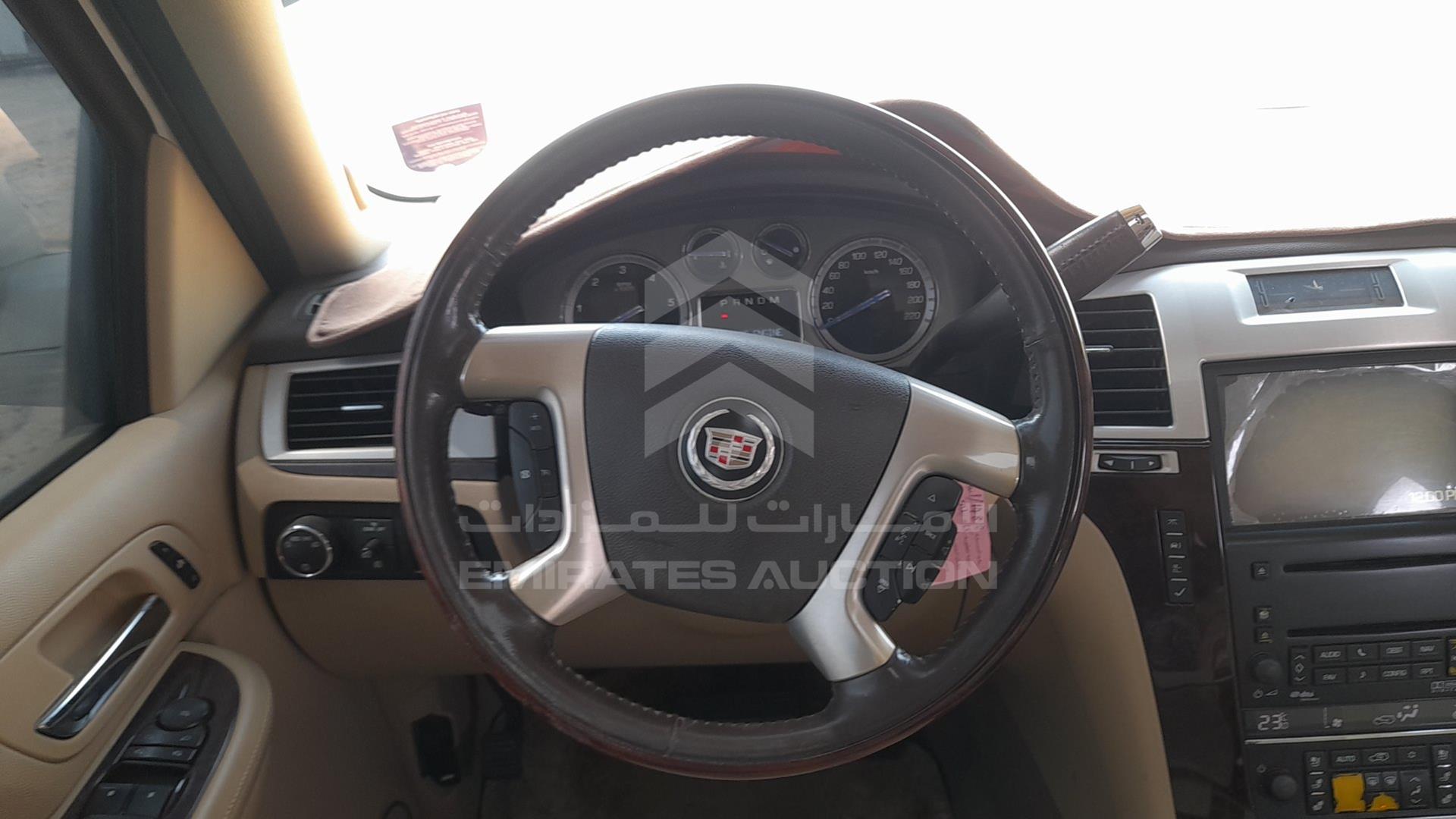 2009 CADILLAC ESCALADE VIN: 1GYFK13209R113649