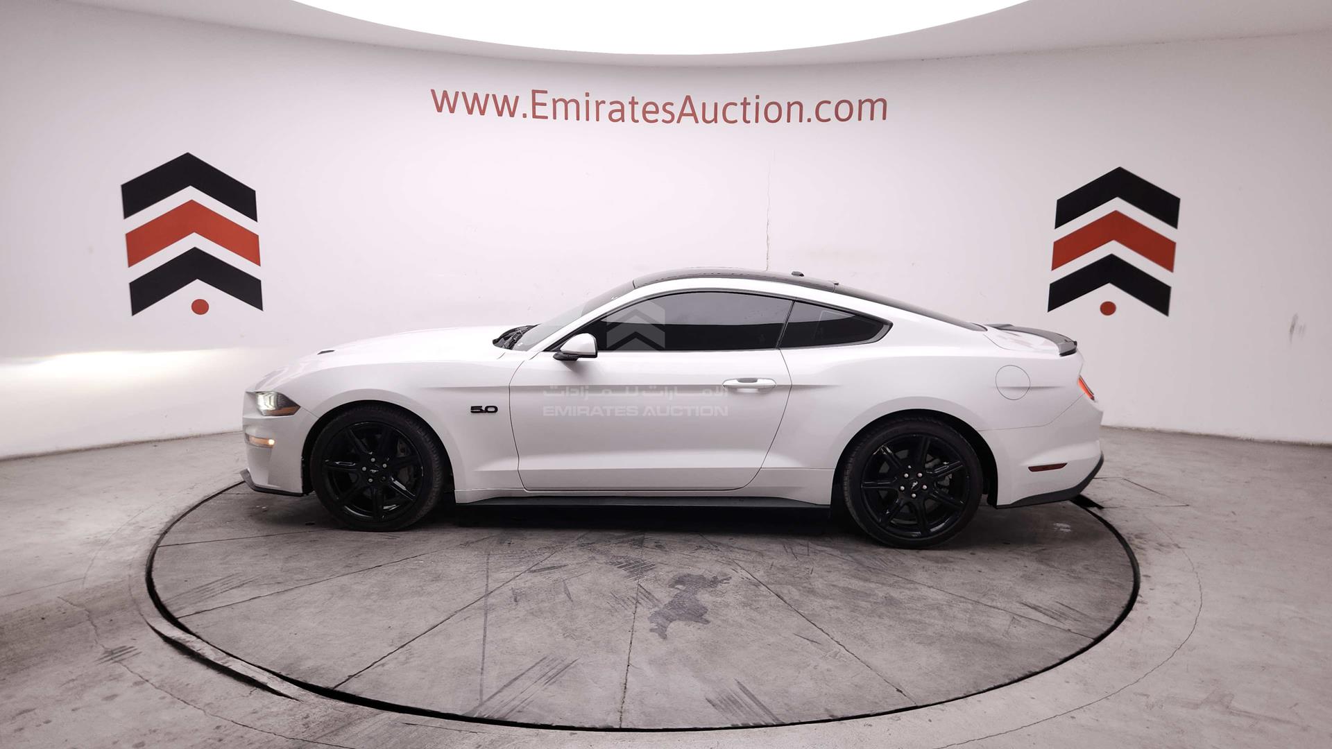 2019 FORD MUSTANG VIN: 1FA6P8CF6K5157614