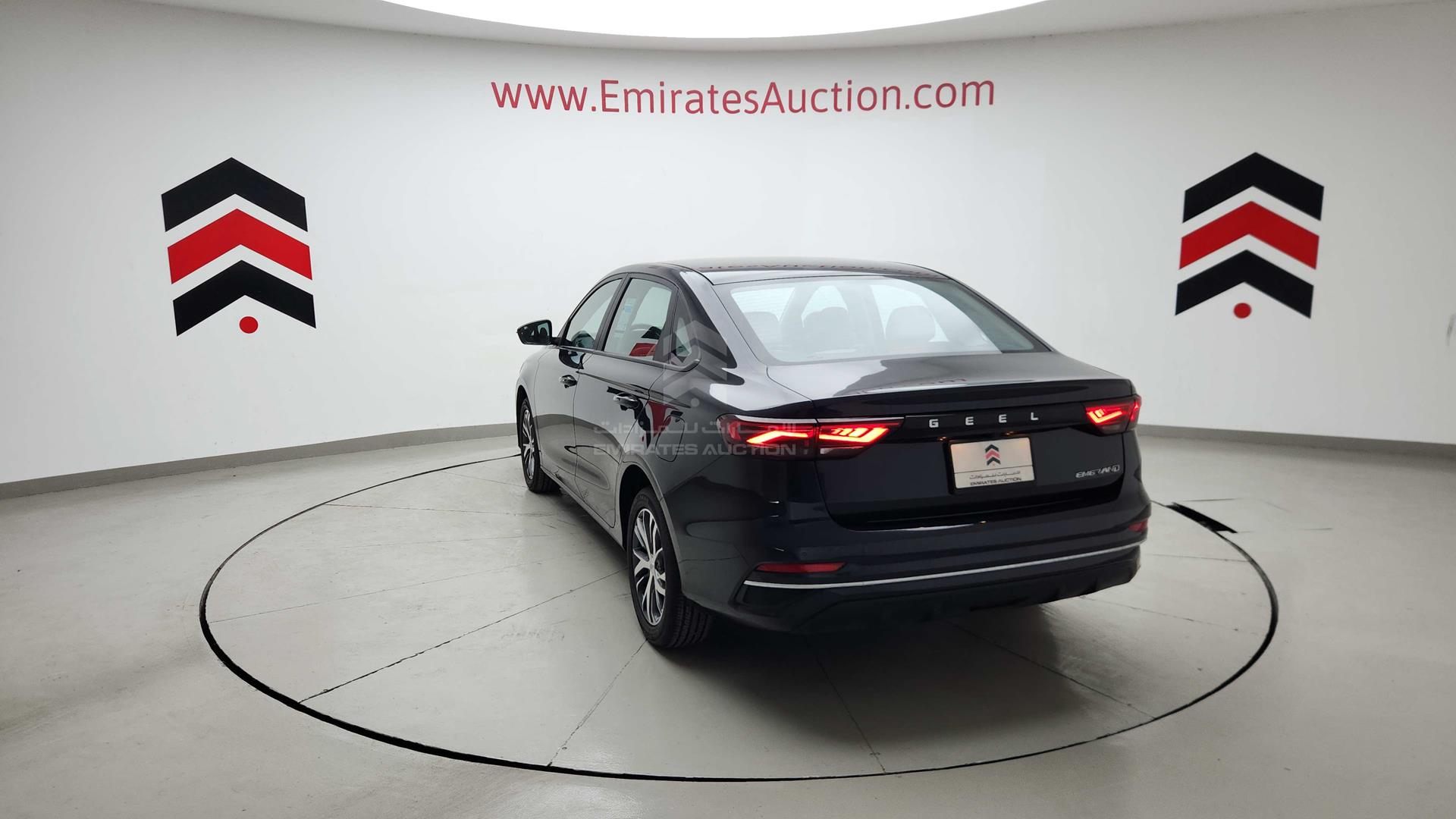 2024 GEELY EMGRAND VIN: LB3F31S29RG016858
