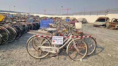  100 Bicycles