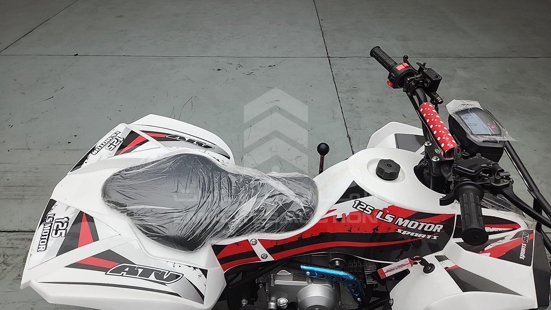 2025 ATV --- VIN: LSA708R2024100075