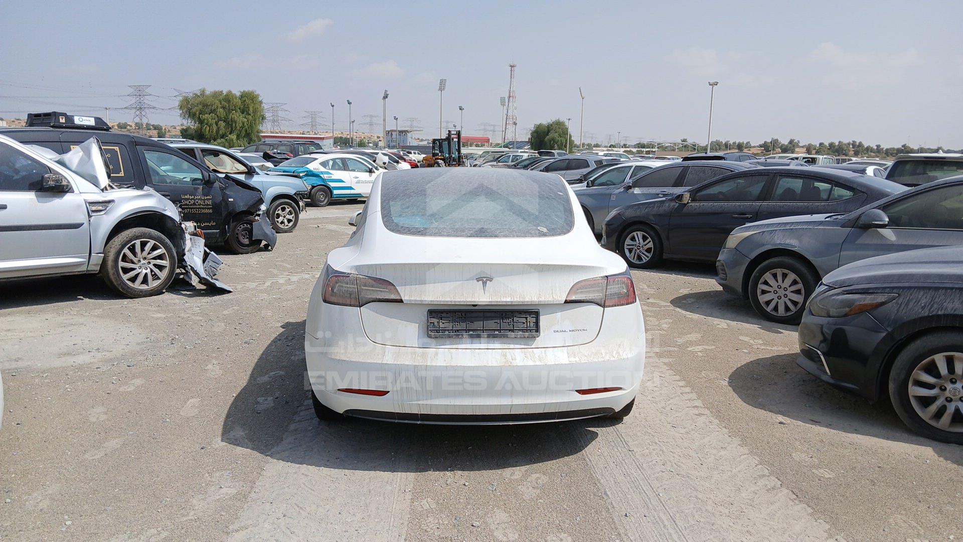 2023 TESLA MODEL 3 VIN: LRW3E7EK4PC686227