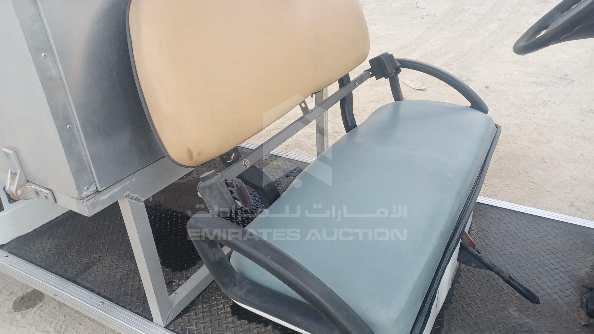 0 GOLF CART ELECTRIC VIN: P017C3802X501732
