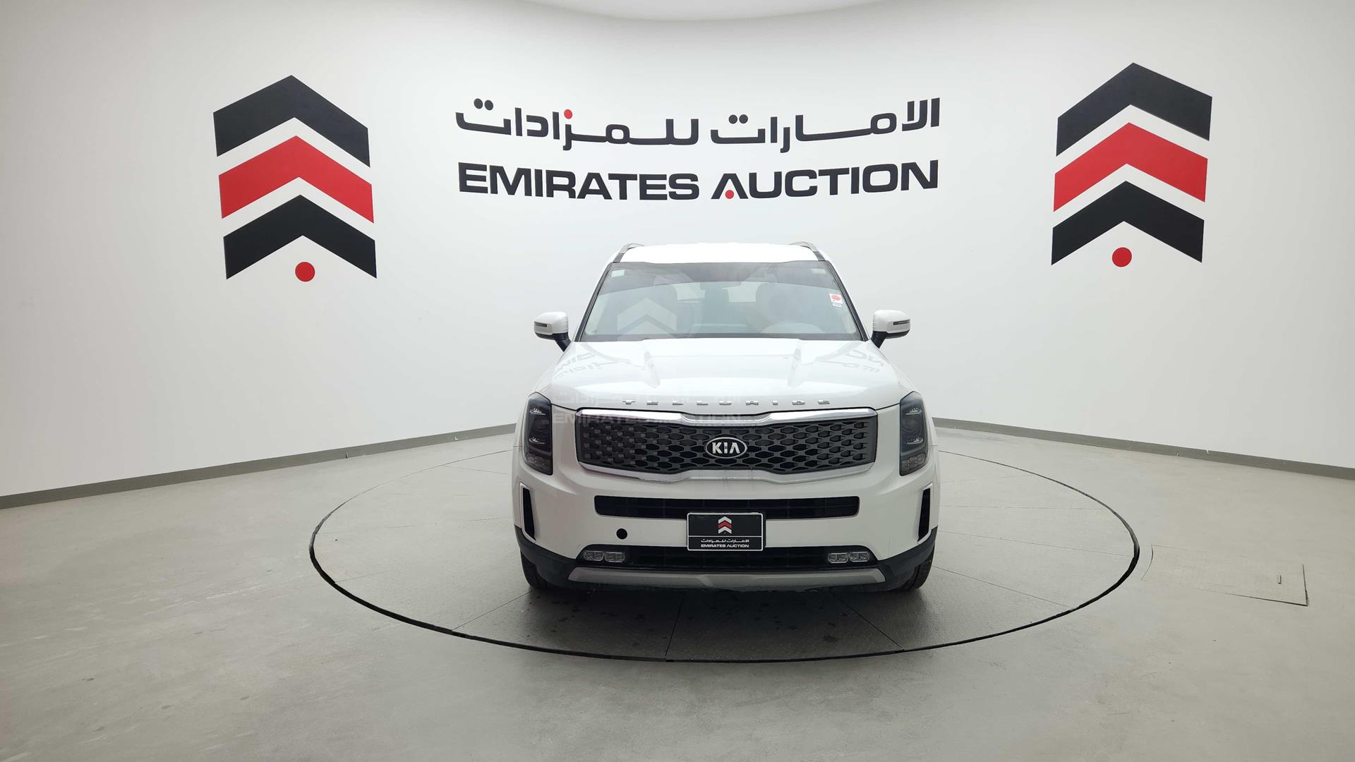 2020 KIA TELLURIDE VIN: 5XXP281CXLG081463