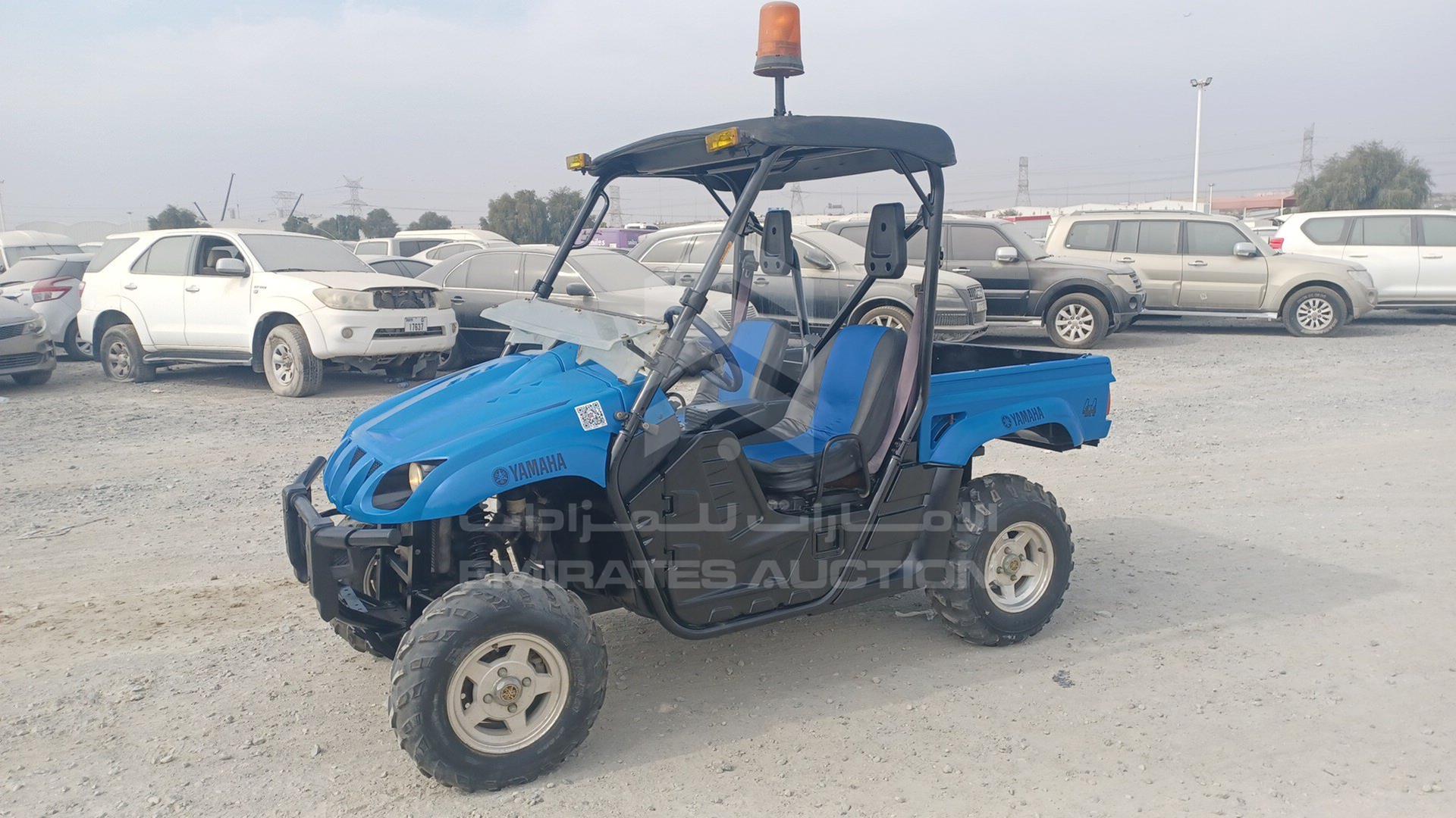 0 BUGGY --- VIN: 5Y4AM08YX6A003503